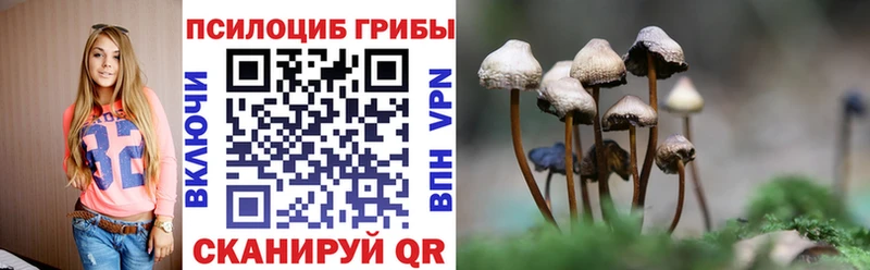 Псилоцибиновые грибы Psilocybine cubensis  Купить закладки  Арамиль 